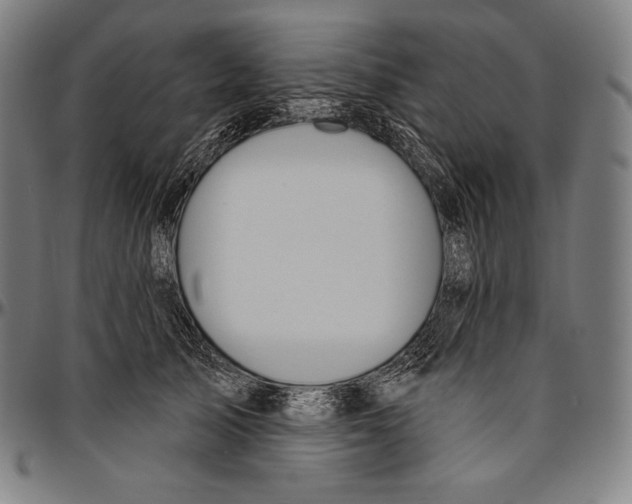 X0000096490705200802211238