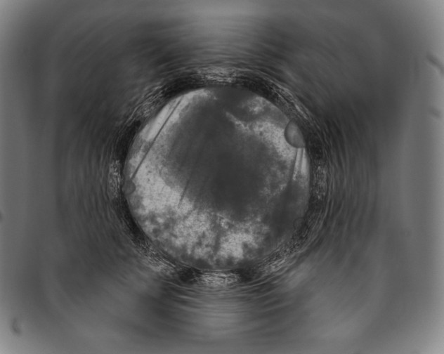 X0000096490707200802211238