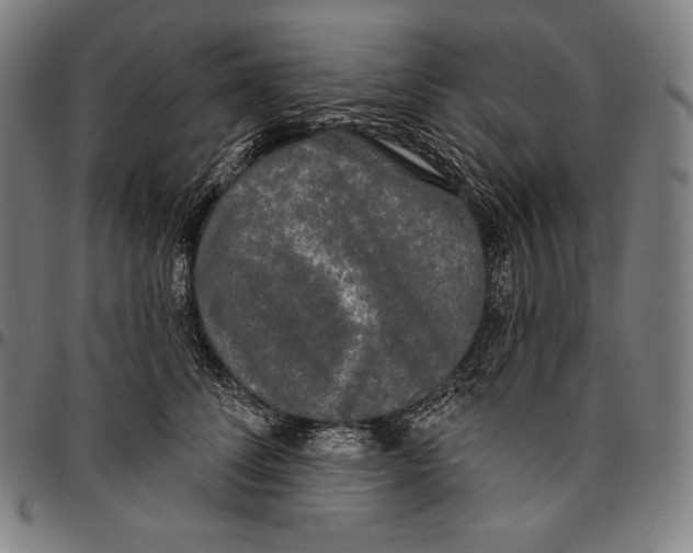 X0000096490708200802211238