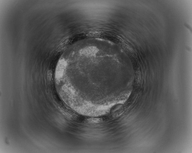 X0000096490711200802211238