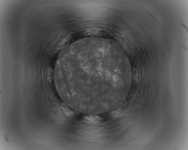 X0000096490712200802211238