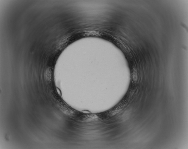 X0000096490715200802211237