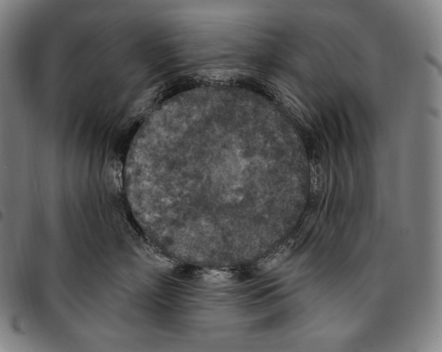 X0000096490718200802211237