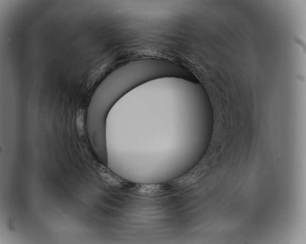 X0000096490720200802211237