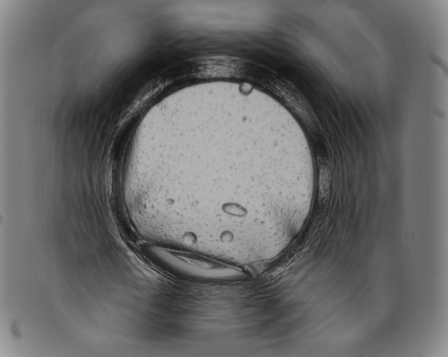 X0000096490722200802211237