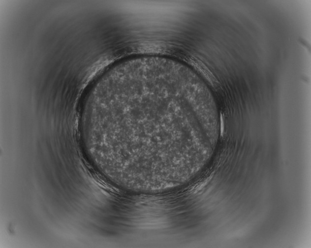 X0000096490723200802211237