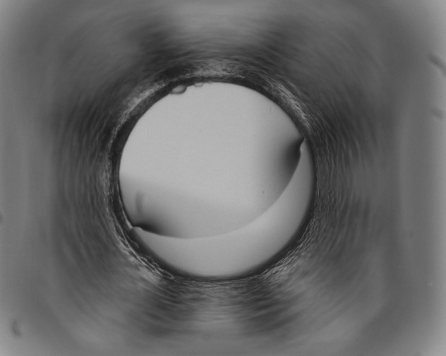 X0000096490724200802211237