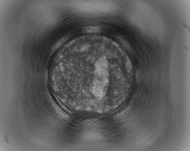 X0000096490725200802211237