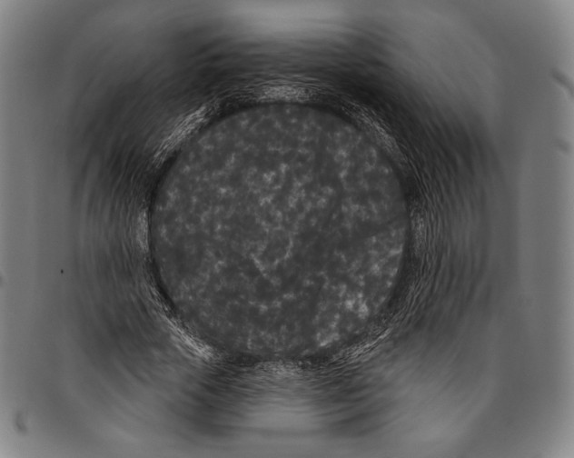 X0000096490729200802211237