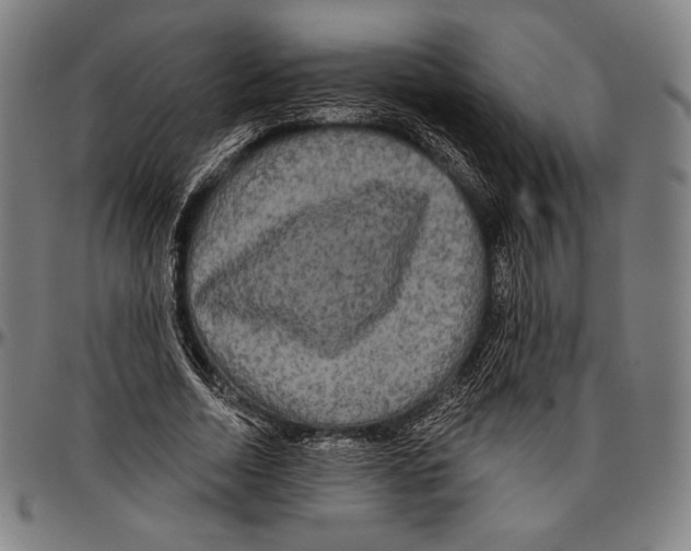 X0000096490730200802211237