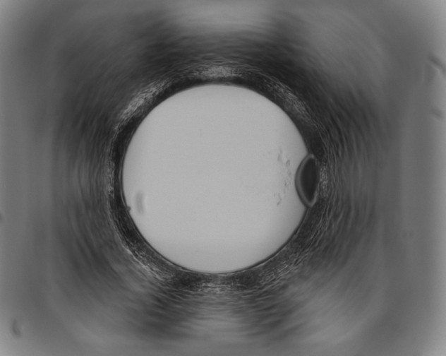 X0000096490732200802211237