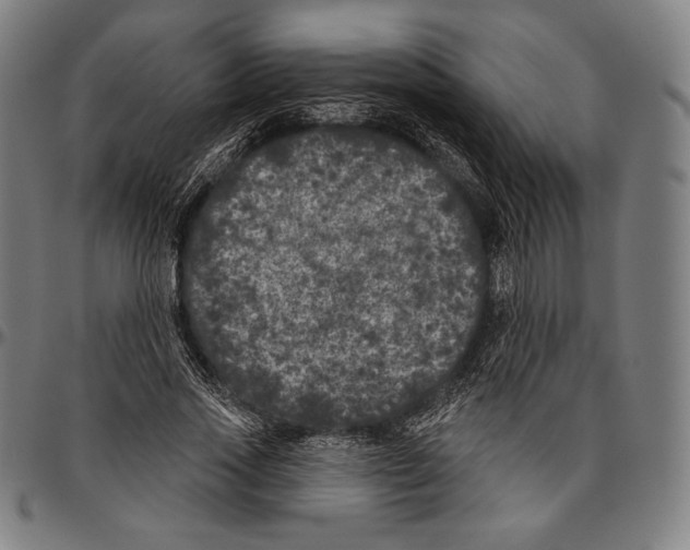 X0000096490733200802211237