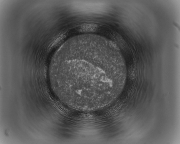 X0000096490735200802211237