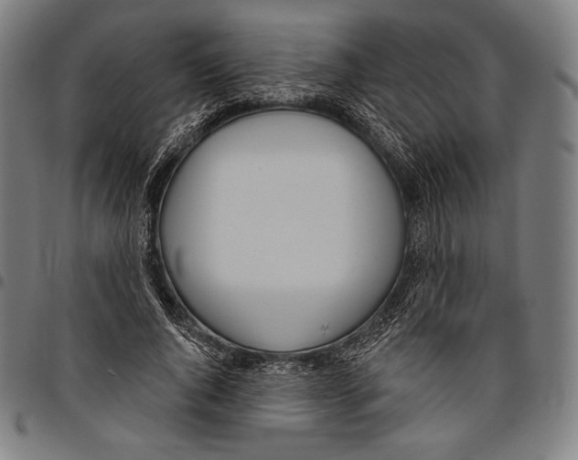 X0000096490736200802211237