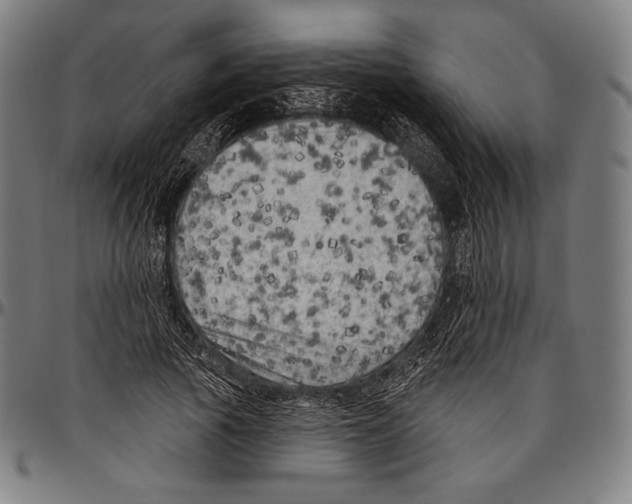 X0000096490737200802211237