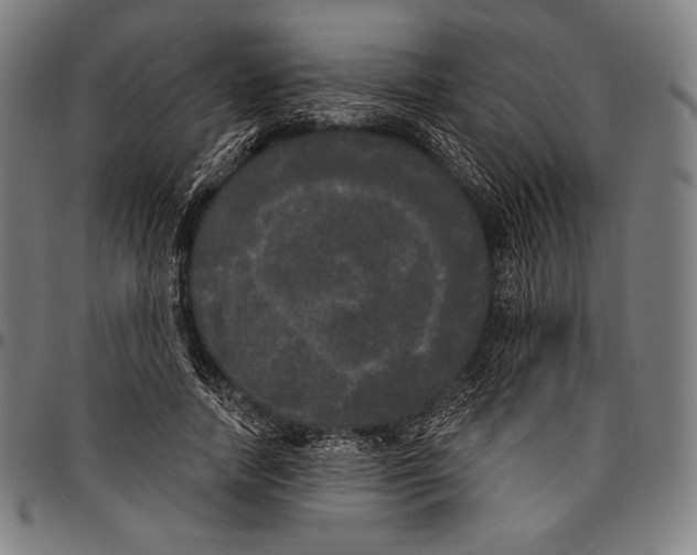 X0000096490738200802211237