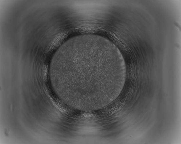 X0000096490742200802211237