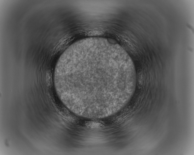 X0000096490743200802211237