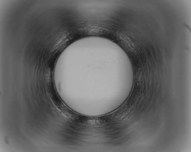 X0000096490744200802211237