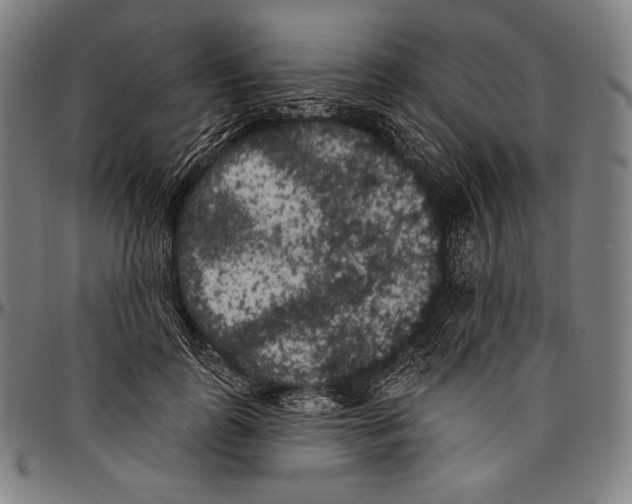 X0000096490747200802211237