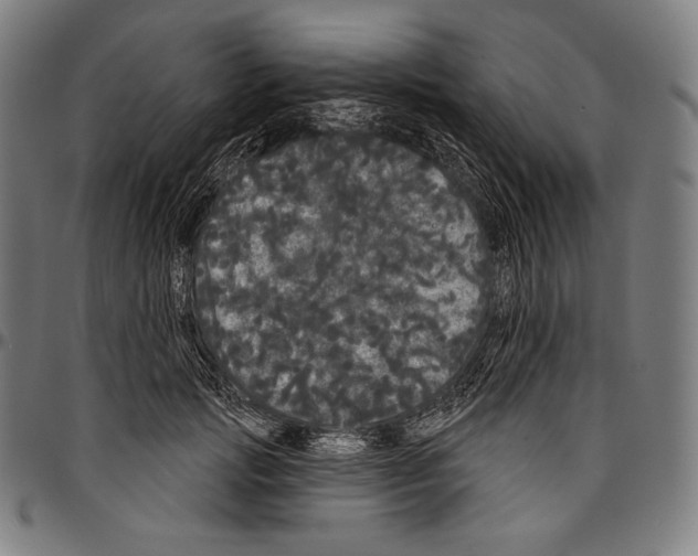 X0000096490749200802211237