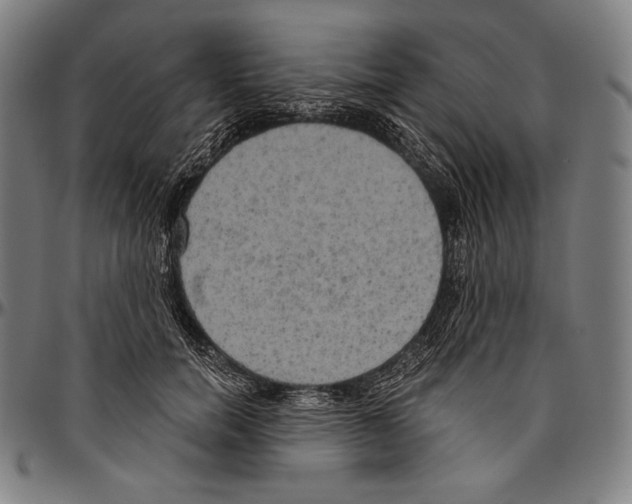 X0000096490750200802211237