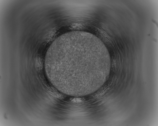 X0000096490751200802211237