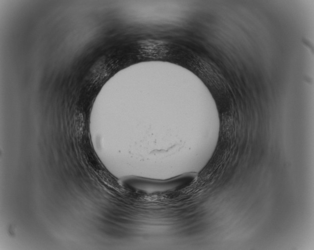 X0000096490752200802211237