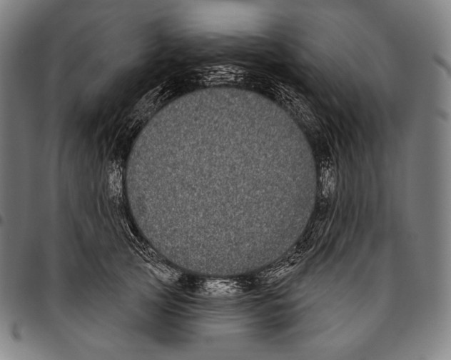 X0000096490753200802211237