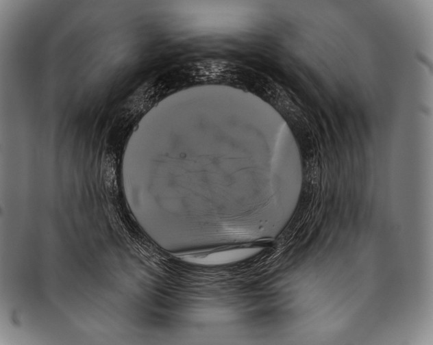 X0000096490754200802211237