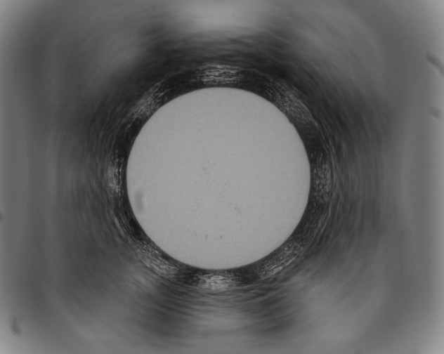 X0000096490755200802211237