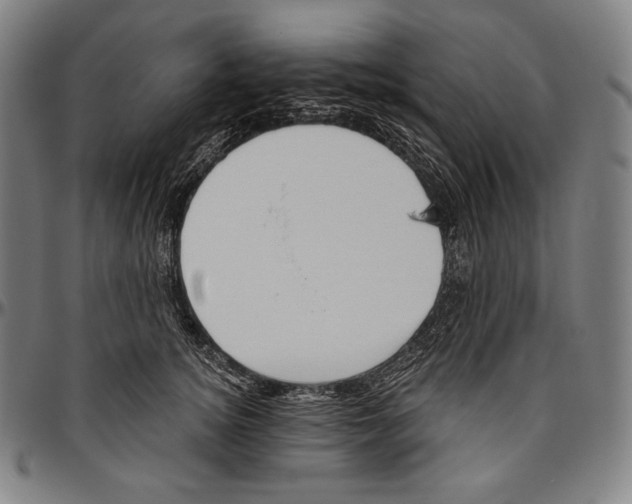 X0000096490756200802211237