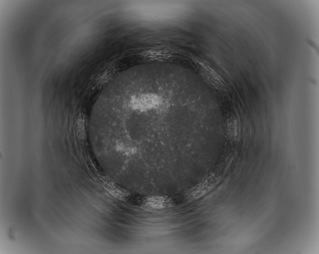 X0000096490757200802211237