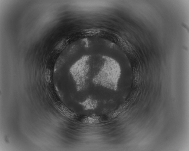 X0000096490758200802211237