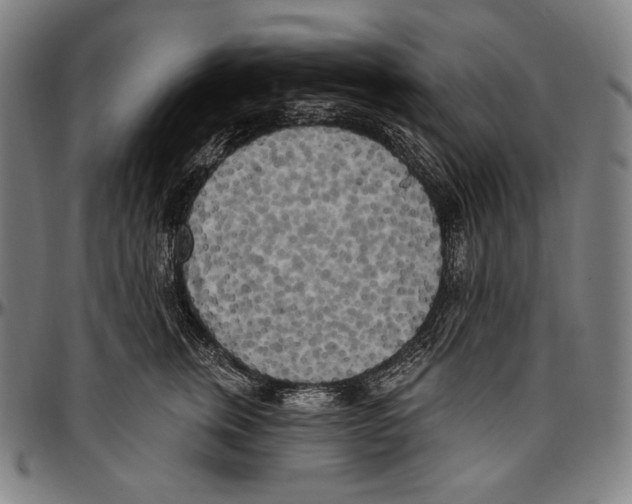 X0000096490759200802211237