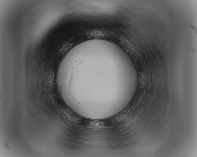 X0000096490760200802211237