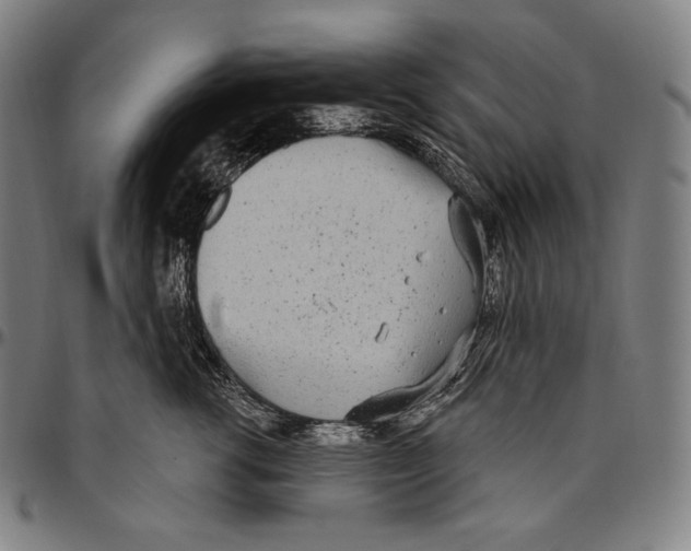 X0000096490762200802211237