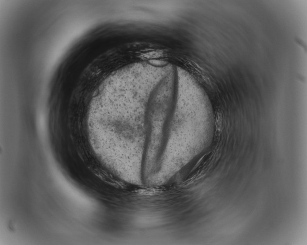 X0000096490763200802211237