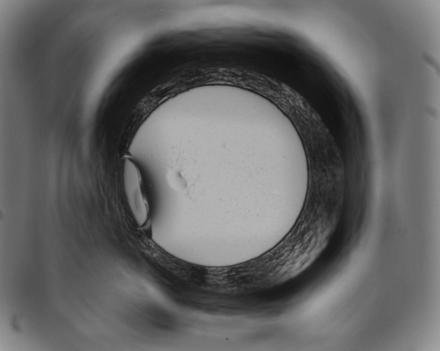 X0000096490766200802211237