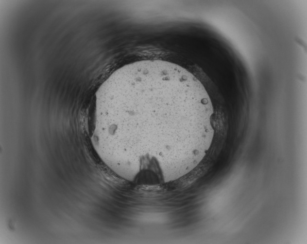 X0000096490767200802211237