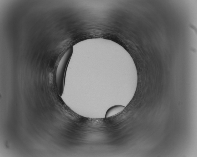 X0000096490768200802211237