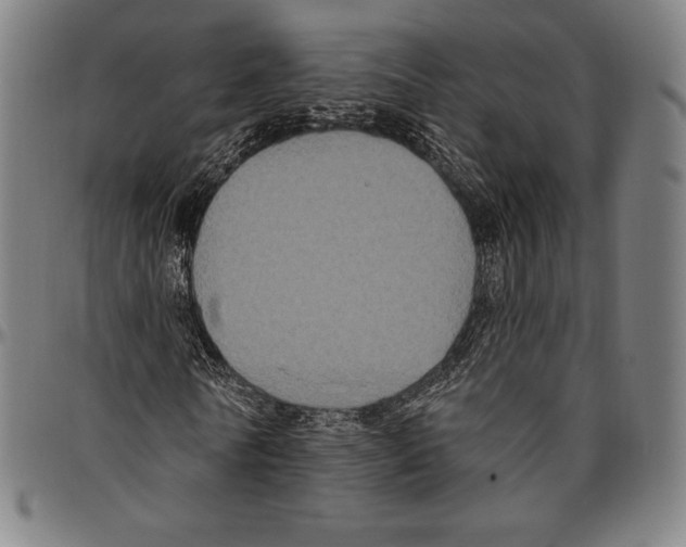 X0000096490770200802211237