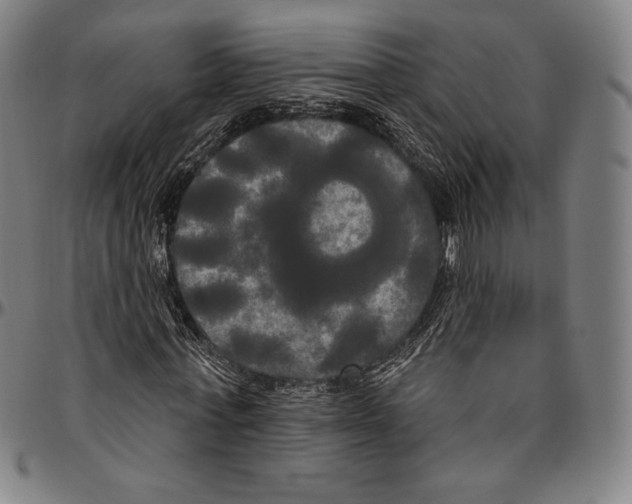 X0000096490771200802211237