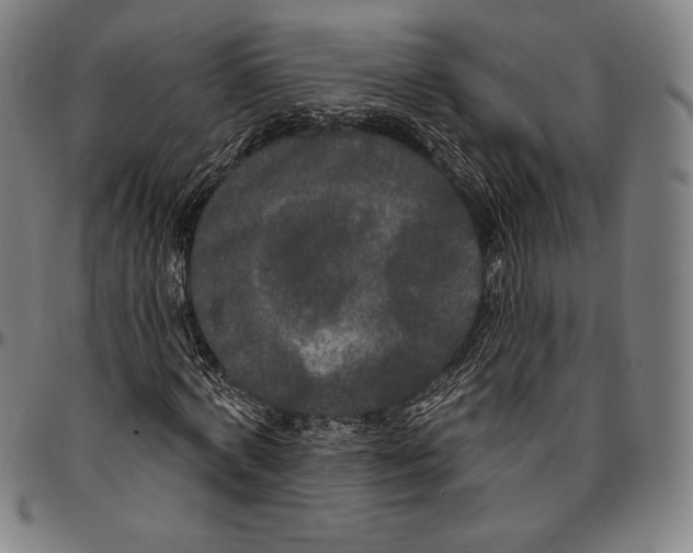 X0000096490772200802211237