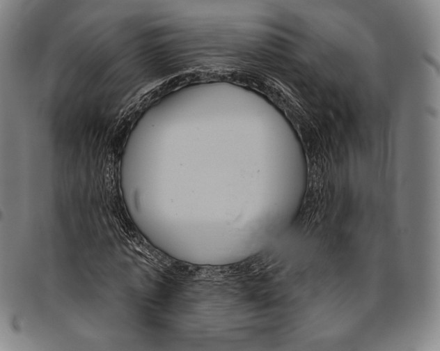 X0000096490773200802211237