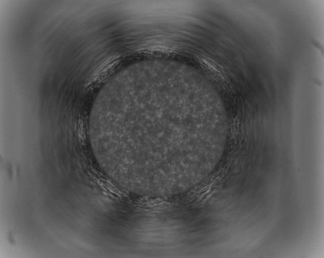 X0000096490774200802211237