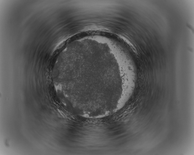 X0000096490775200802211237