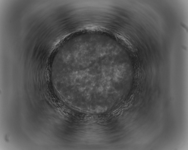 X0000096490776200802211237