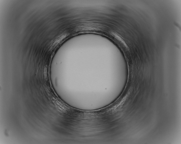 X0000096490777200802211237