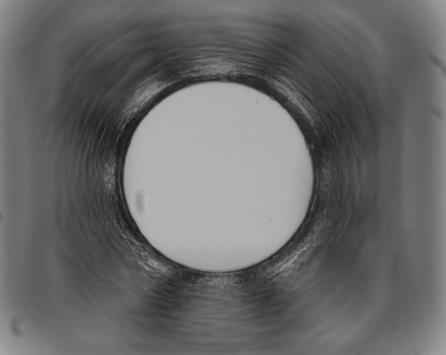 X0000096490778200802211237